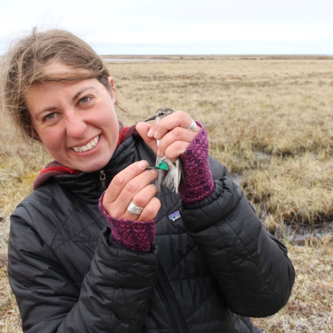 Megan Boldenow holds a bird she helped band for research purposes.