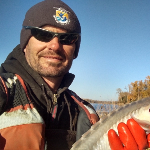 Jason Kral holding a pallid sturgeon