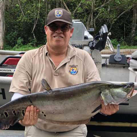 John Galvez holding a clown knifefish