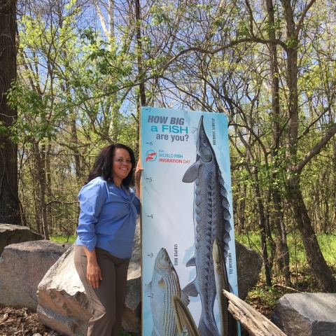 Biologists, Lisa Moss, with life-sized illustration of Atlantic sturgeon.jpg