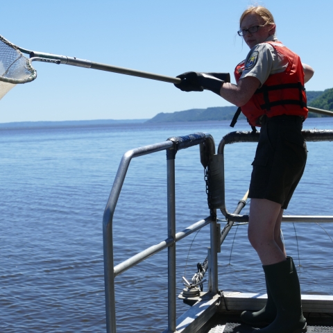 Woman on boat with fish net in hand on Mississippi river.