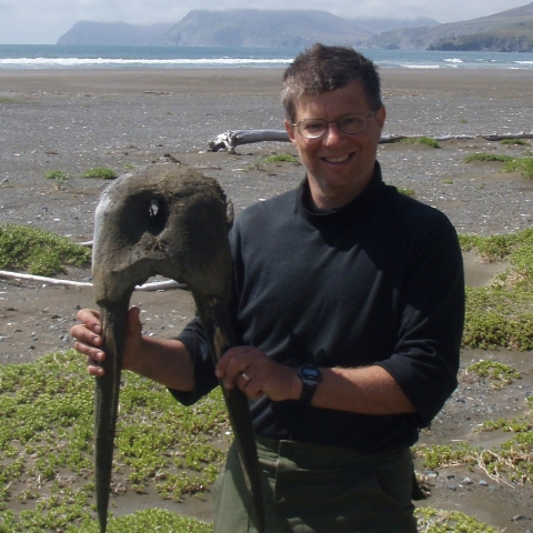 Man holding walrus skull by the tusks on the Alaska tundra