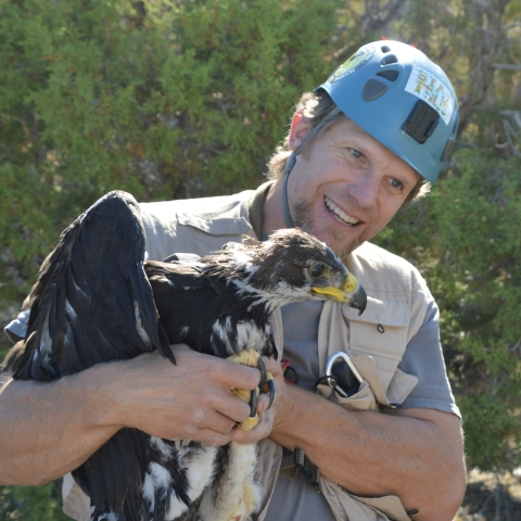 Joe Barnes holding a young golden eagle