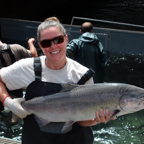 A smiling woman in sunglasses, waders, and short-sleeved shirt stands beside a concrete pond, holding a very large and heavy Chinook salmon with both hands, a glove on the hand that holds the tail.