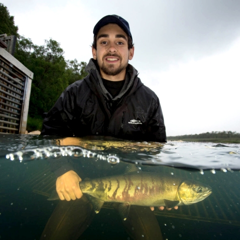 a man holding a striped fish underwater