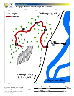 Map of the Roost Trail at Umbagog