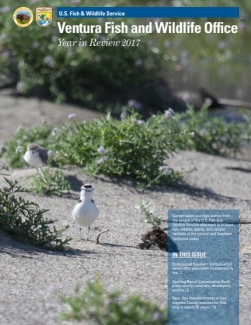 Magazine with small bird (western snowy plover) in sand on cover
