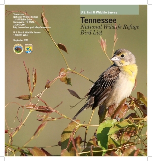 An image of the cover for the bird brochure.