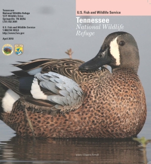 An image of the cover for the refuge brochure.