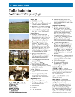 An image of the cover for the refuge fact sheet.