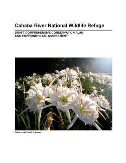 An image of the cover for the comprehensive conservation plan.