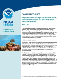A snapshot of the first page for the compliance guide