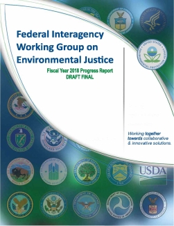 Cover of the Environmental IWG Draft Final Progress Report