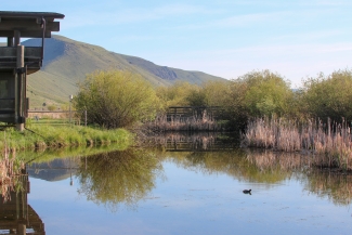 An overlook with a pond.