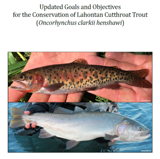 Two images of people holding Lahontan cutthroat trout, a brown, gold and red fish with dark spots.