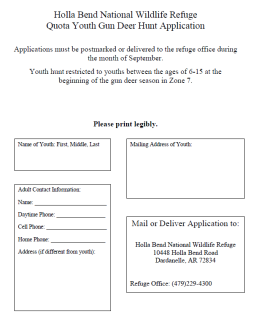 Thumbnail of the application form.