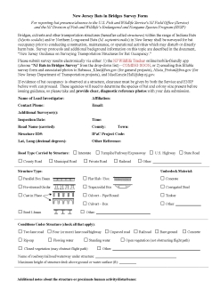 New Jersey Bats in Bridges Survey Form thumbnail