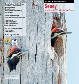 The cover of the Seney National Wildlife Refuge general brochure featuring pileated woodpecker chicks in their nesting snag.