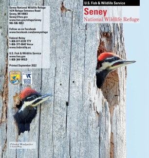 Picture of the cover of the Seney National Wildlife Refuge General Brochure