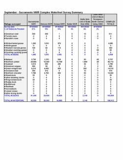 Image of Waterfowl Survey Summary Table