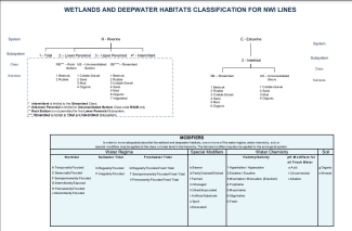 Thumbnail of Wetlands and Deepwater Habitats Classification for NWI Lines document.