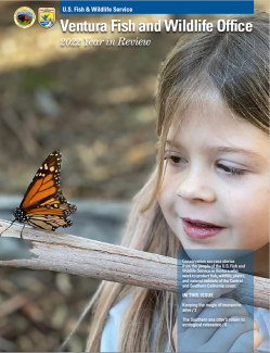 A girl admiring a monarch butterfly that is perched on a branch