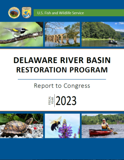 image of the front cover of a report, featuring various photos of people paddling and fishing on a river and of wildlife, including a turtle, bumblebee, and warbler