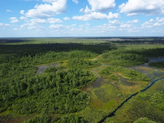 aerial view of swamp prairie with blue sky and clouds 