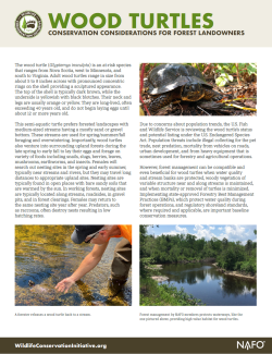 The front page of a document with text and images of wood turtles and their habitat