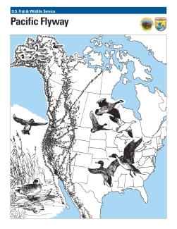 Pacific Flyway Map