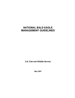 National Bald Eagle management guidelines
