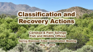 2024 Spring Tribal Coordination Meeting Listing and Recovery Update