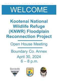 Kootenai National Wildlife Refuge Floodplain Reconnection Project