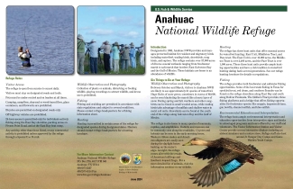 Anahuac Wildlife Refuge Brochure