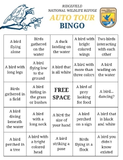 Auto Tour Bird Bingo - Descriptions