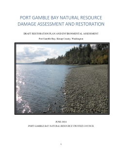 Port Gamble Bay Draft Restoration Plan and Enviromental Assessment