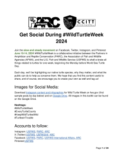 Wild Turtle Week 2024 Social Media Toolkit