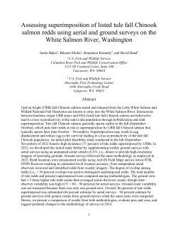 Assessing superimposition of listed tule fall Chinook salmon redds using aerial and ground surveys on the White Salmon River, Washington