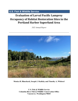 Evaluation of Larval Pacific Lamprey Occupancy of Habitat Restoration Sites in the Portland Harbor Superfund Area 2023 Annual Report