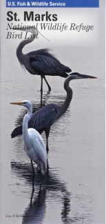 Bird List for St. Marks NWR