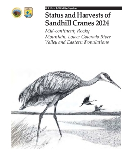 Status and Harvests of Sandhill Cranes, 2024