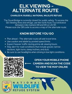 Alternate Route Information Flyer