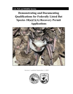 Recovery Permit Bat Application Tips