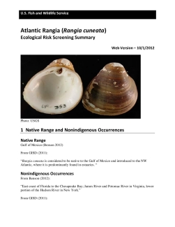 Ecological Risk Screening Summary - Atlantic Rangia (Rangia cuneata) - Uncertain Risk