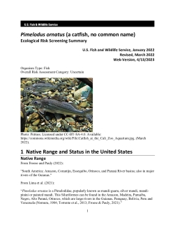 Ecological Risk Screening Summary - Pimelodus ornatus (a catfish, no common name) - Uncertain Risk