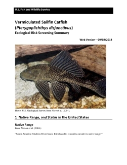 Ecological Risk Screening Summary - Vermiculated Sailfin Catfish (Pterygoplichthys disjunctivus) - High Risk