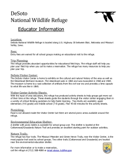 DeSoto Educator Informational Flyer.pdf