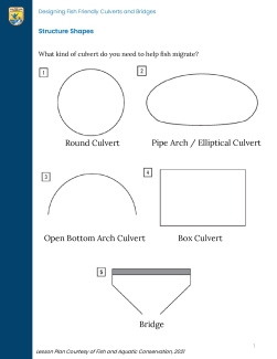 Fish Need to Move! Structure Shapes Lesson Worksheet