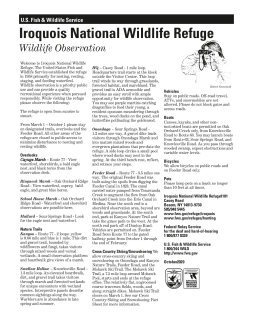 Iroquois NWR Wildlife Observation Fact Sheet | FWS.gov