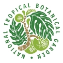 Tropical plants surrounded by green text